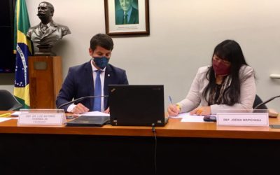 COVID ENTRE ÍNDIOS: COMISSÃO PEDE RAPIDEZ PARA VOTAÇÃO DOS VETOS PRESIDENCIAIS
