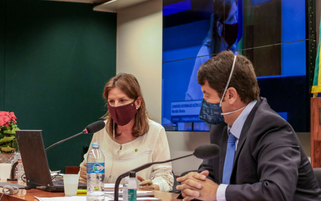 Comissão externa da Câmara completa cinco meses no enfrentamento ao novo coronavírus