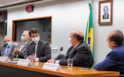 Dr. Luizinho homenageia ortopedistas com audiência pública na Câmara dos Deputados e faz balanço de ações em favor da categoria